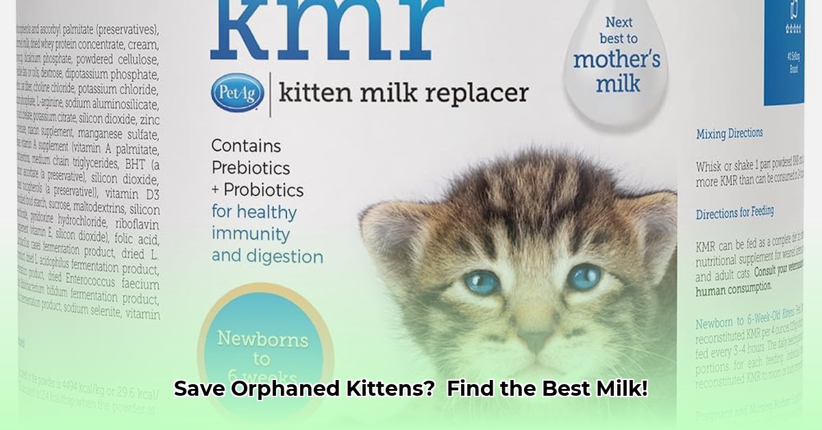kitten-milk-tractor-supply